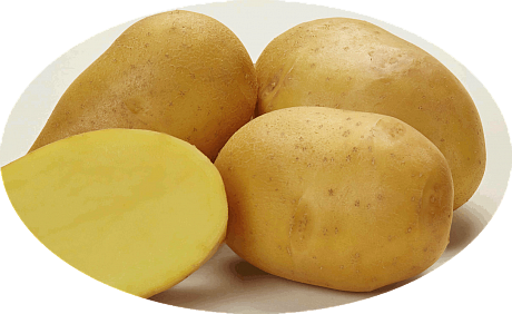 Картофель семенной Лисана